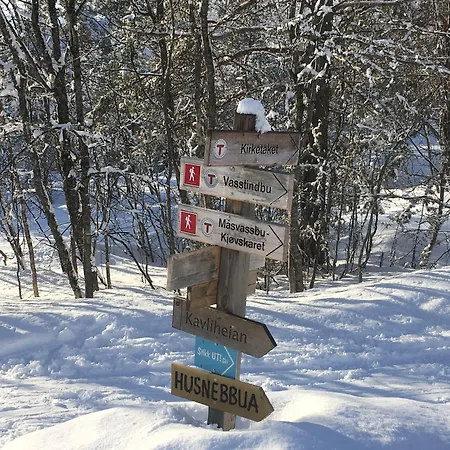 Heinåli Hytta Isfjorden