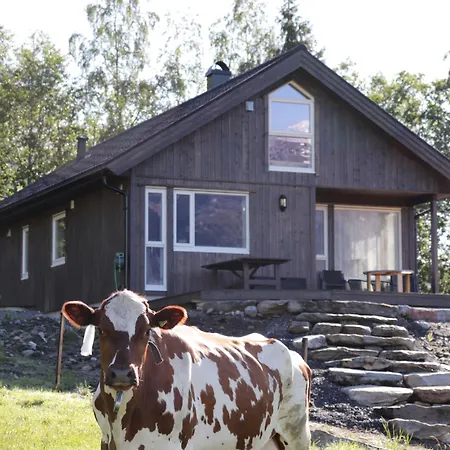 Heinali Hytta בקתה *