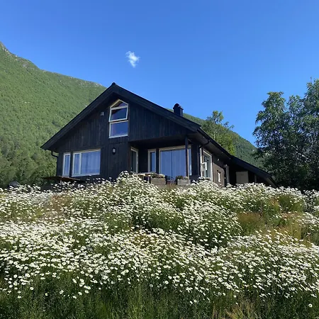 シャレー Heinali Hytta Isfjorden