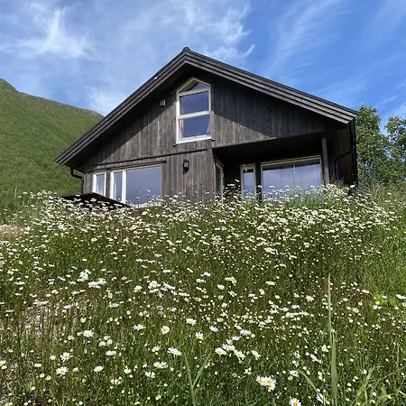 シャレー Heinali Hytta