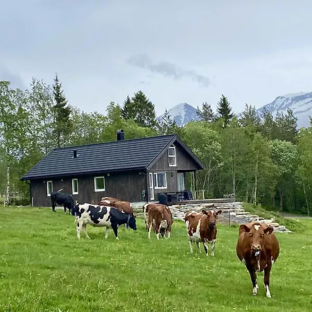 Heinali Hytta シャレー Isfjorden
