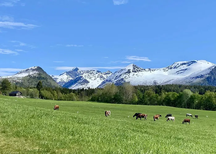 木屋 Heinali Hytta Isfjorden