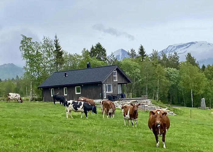 Heinali Hytta 木屋 Isfjorden